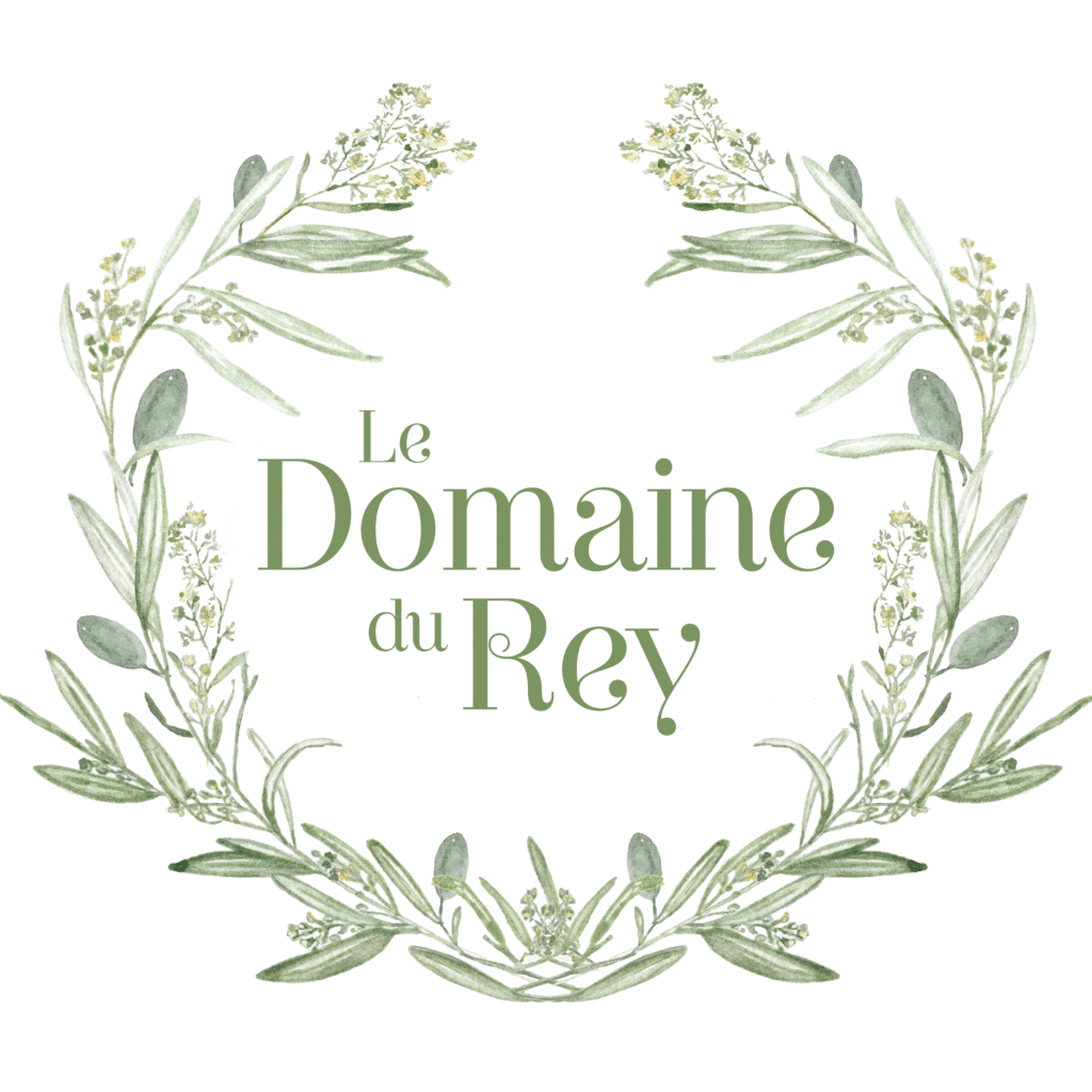 Logo Domaine du Rey